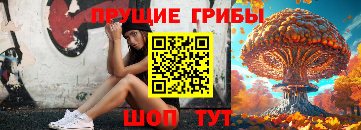 Жуковский  Галлюциногенные грибы Cubensis  купить   Вход с VPN  Псилоцибиновые грибы Magic Shrooms 