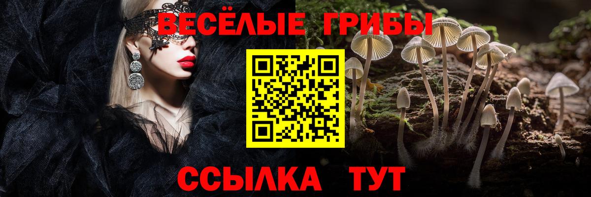 Псилоцибиновые грибы GOLDEN TEACHER Жуковский