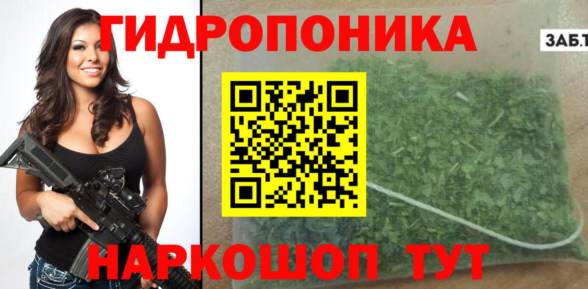 Жуковский  Бошки марихуана THC 21%  Шишки марихуана THC 21%  Конопля AK-47  Вход с VPN 